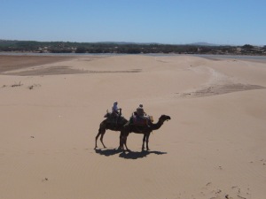 Me and my husband on our camels, Cappuccino and Tarzan
